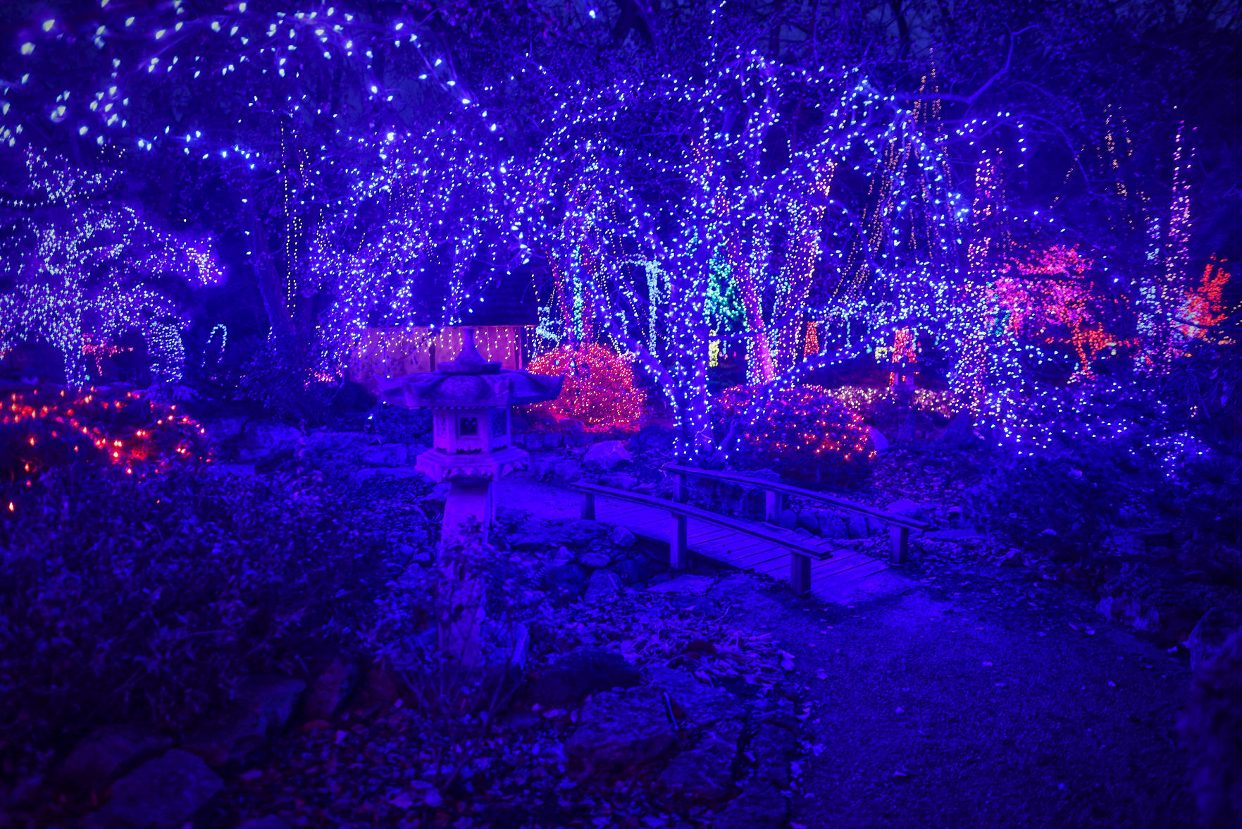 JVG_211121_LIGHTS15